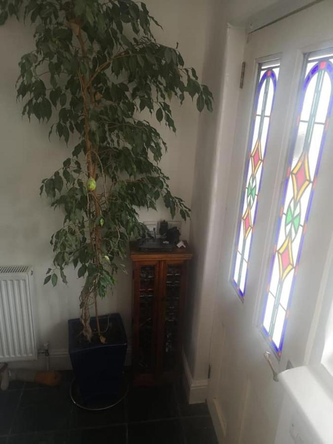 St Ives Uplands B And B מראה חיצוני תמונה